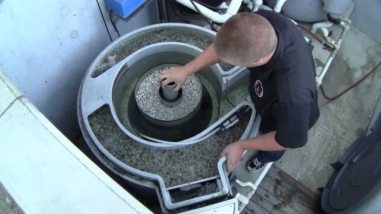 How to Clean Your Nexus Filter
