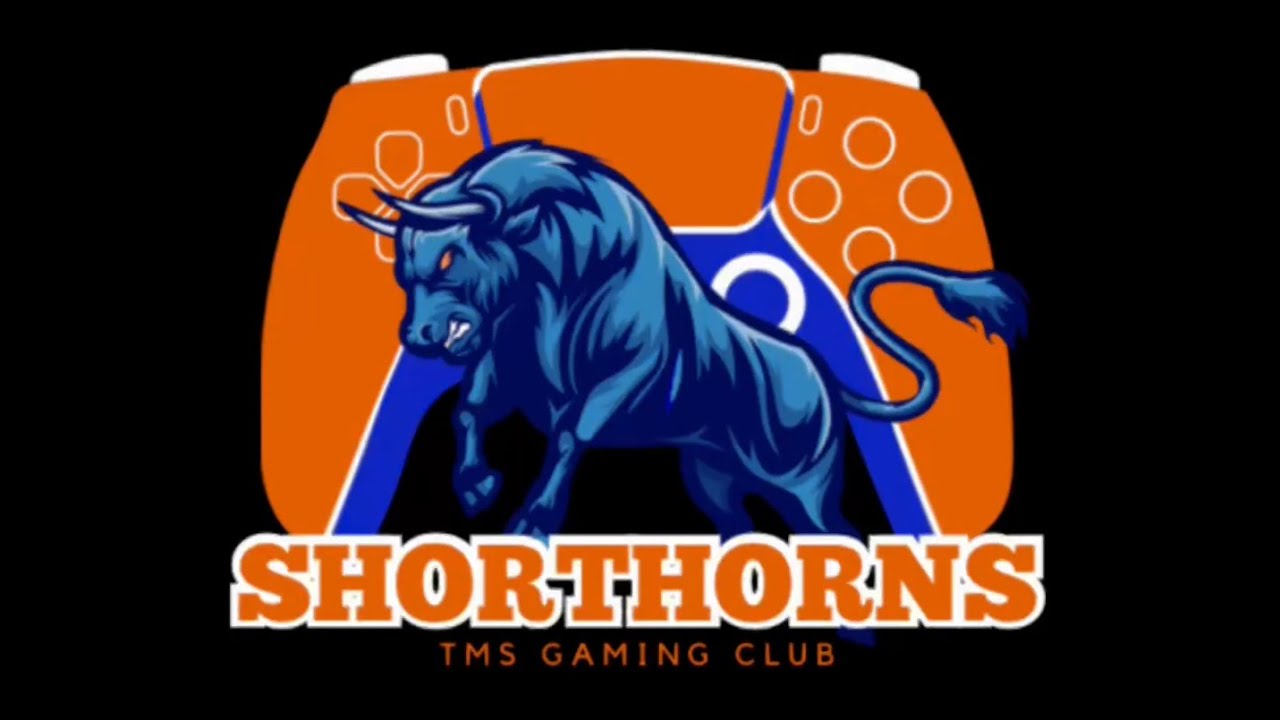 TMS Gaming Club - Mr. Salinas