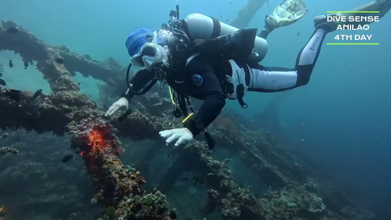 #anilao #philippines #scubadiving #diving #divingtour #divesense