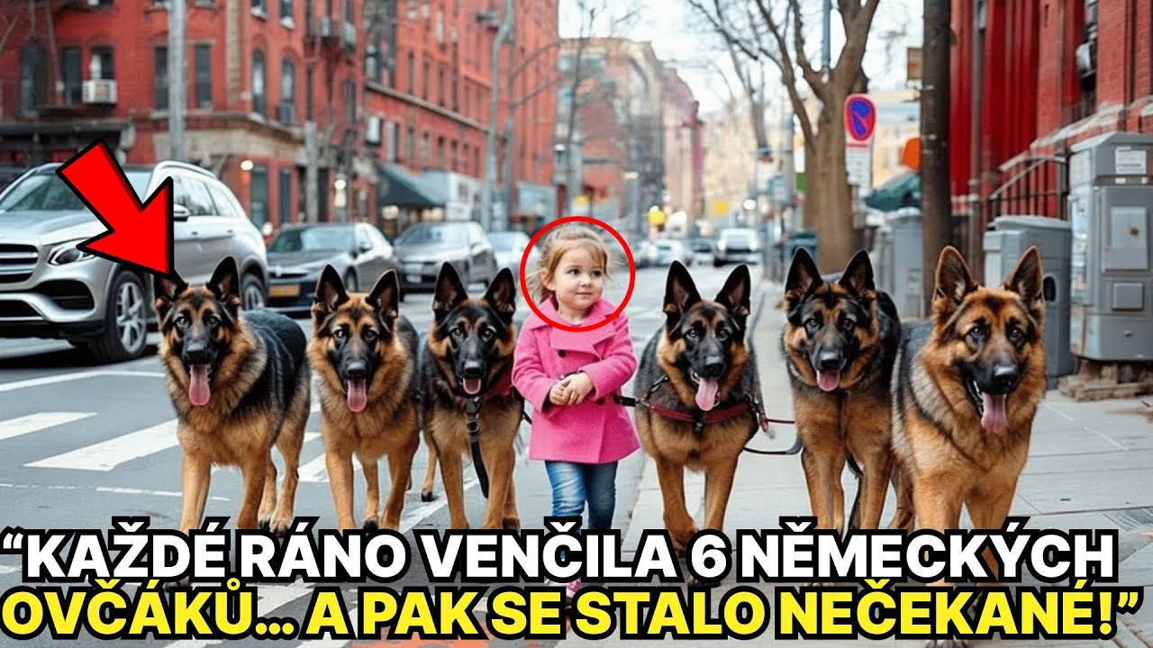 Holčička Chod&iacute; Sv&eacute; Policejn&iacute; Psy Každ&eacute; R&aacute;no, Dokud Lid&eacute; Zjist&iacute;, Že Se Skr&yacute;v&aacute; &Scaron;okuj&iacute;c&iacute; Tajemstv&iacute;!