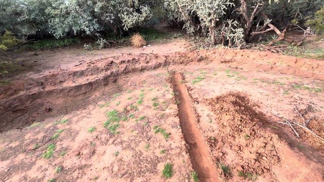 Low desert permaculture