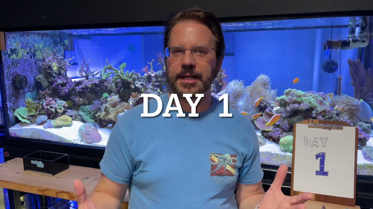 Reef Diary: Day 1