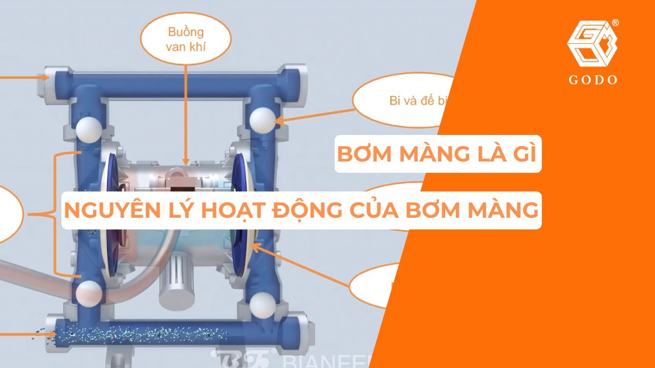 BƠM MÀNG LÀ GÌ|NGUYÊN LÝ HOẠT ĐỘNG&ỨNG DỤNG CỦA BƠM MÀNG
