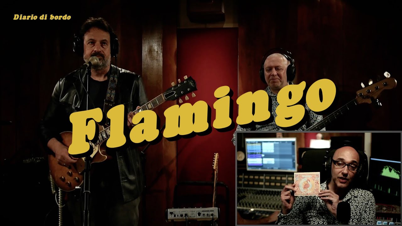 🚀 Flamingo • DIARIO DI BORDO • Live Music Studio Session • #blues
