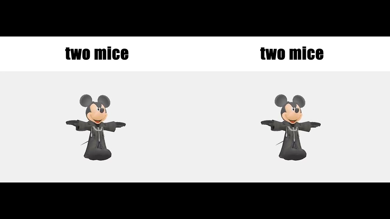 two mice