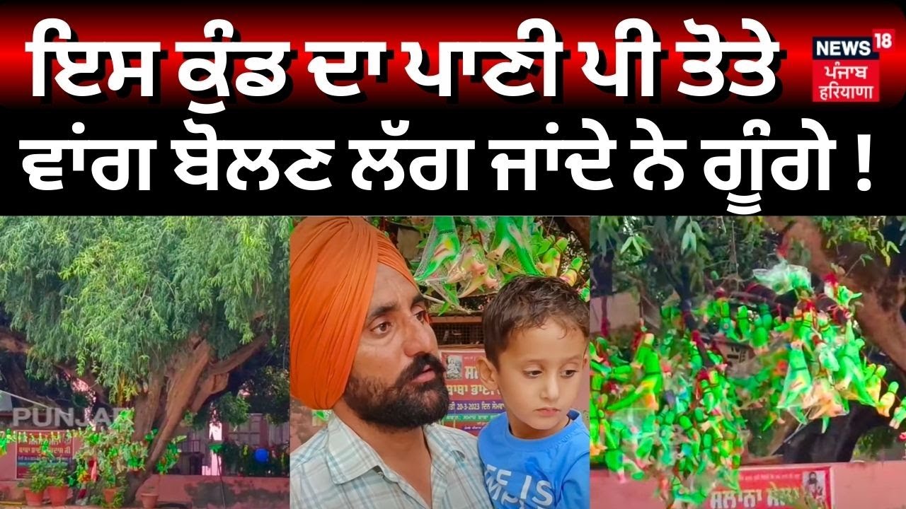 Mansa News | ਇਸ ਕੁੰਡ ਦਾ ਪਾਣੀ ਪੀ ਤੋਤੇ ਵਾਂਗ ਬੋਲਣ ਲੱਗ ਜਾਂਦੇ ਨੇ ਗੂੰਗੇ ! | Punjab News | N18V
