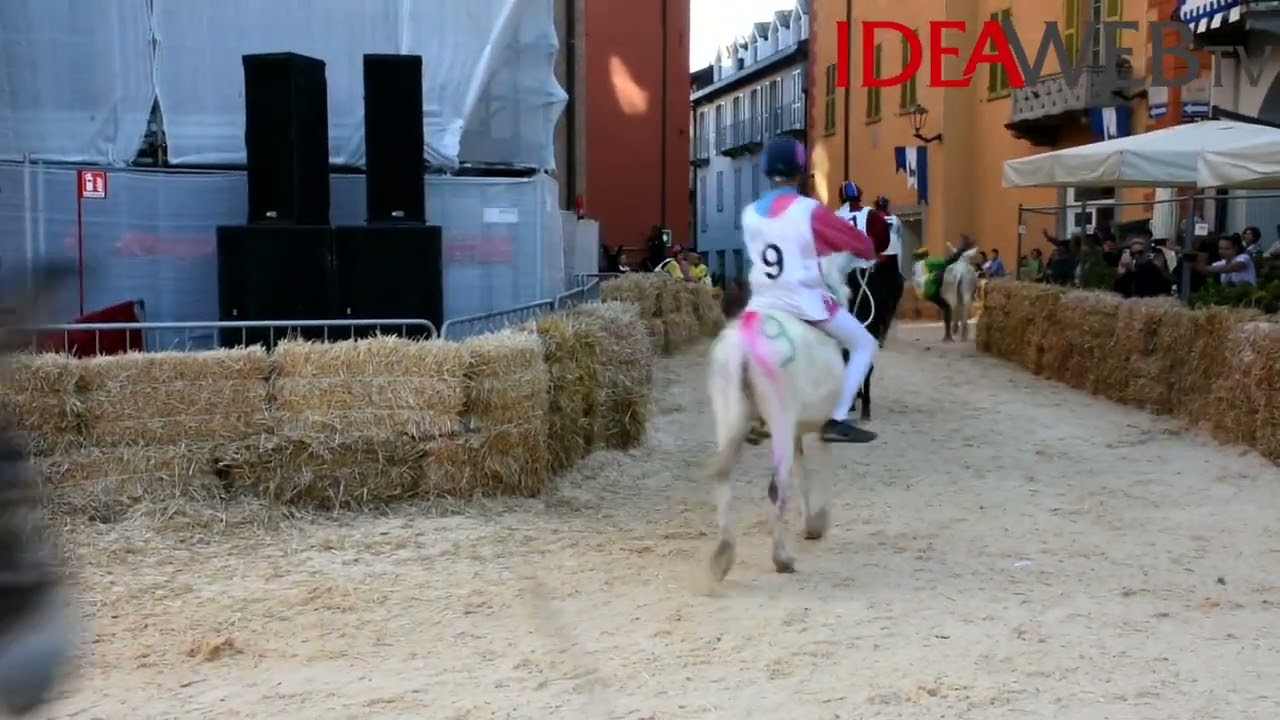 Palio degli Asini di Alba 2022