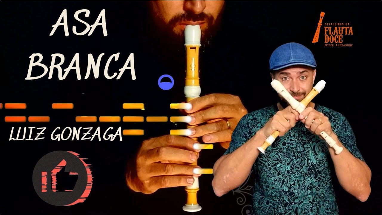 ASA BRANCA - SOLO INTRODUÇÃO PASSO A PASSO COMPLETO