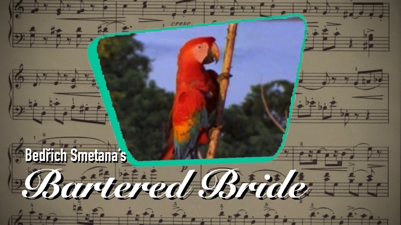 (Music Recomposition) - Bedřich Smetana‘s The Bartered Bride, Polka