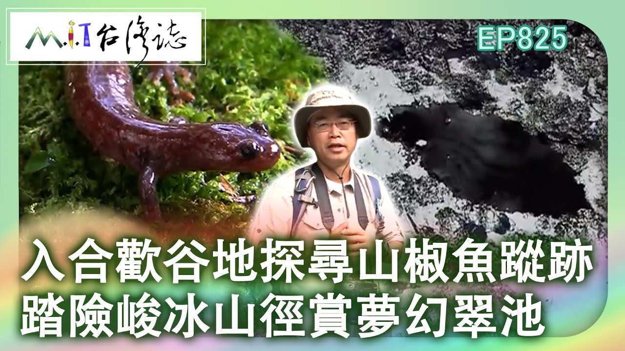 入合歡谷地探尋山椒魚蹤跡 踏險峻冰山徑賞夢幻翠池｜南投縣仁愛鄉 麥覺明【@ctvmit825集】