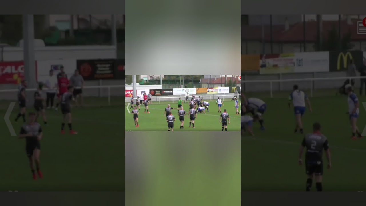 gigla umfriani Highlights 2019-2020
