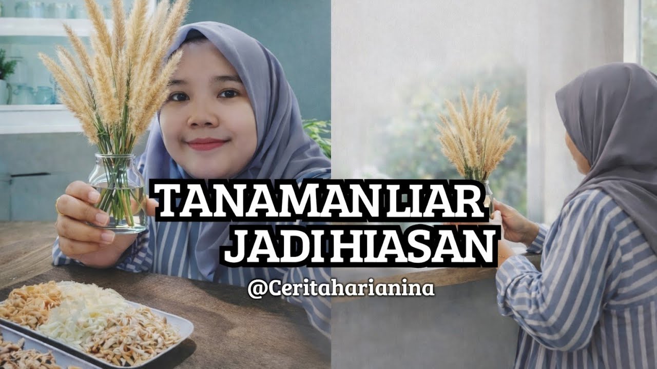 Belanja Mingguan & Masak Soto Ayam 🍲 |Tanaman Liar Jadi Hiasan Rumah‼️Cerita Harian Ina