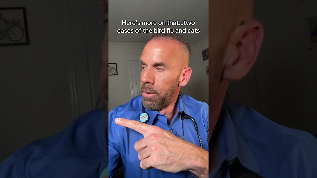 5 Things Pet Owners Need to Know About Bird Flu
