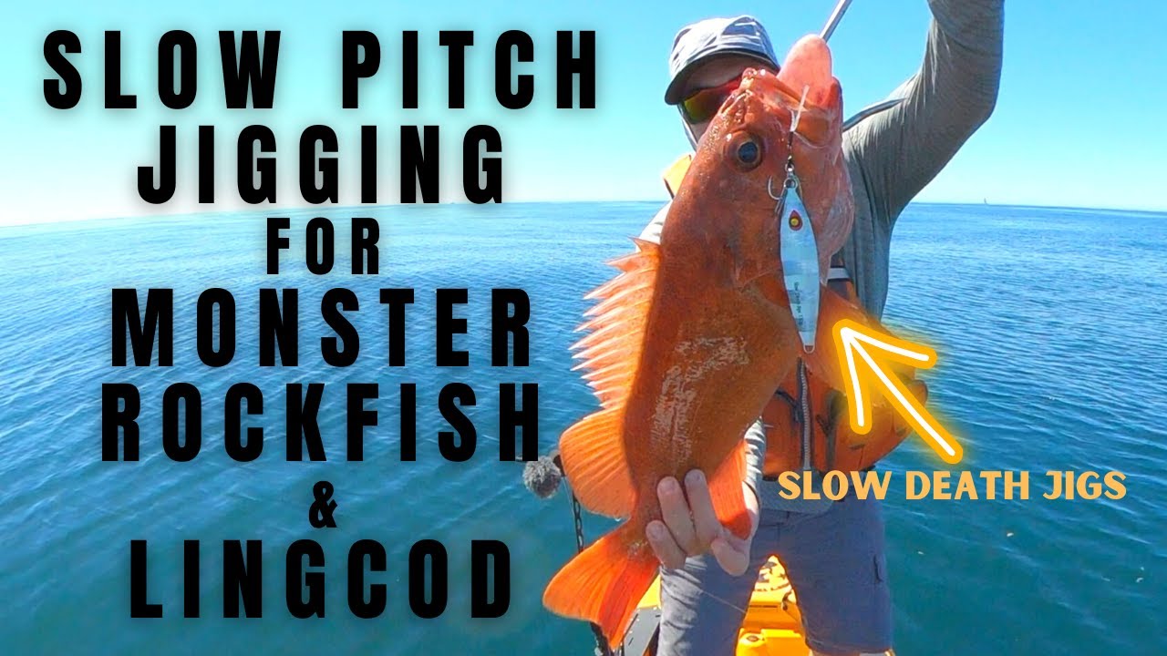 Monster Rockfish & Lingcod in La Jolla | Slow Pitch Jigging with Submission Jigs
