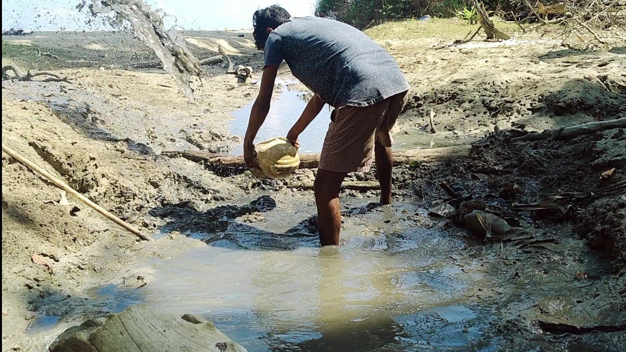 Fishing Videos, Traditional Fishing videos, Catching Seafoods, Andaman Islands