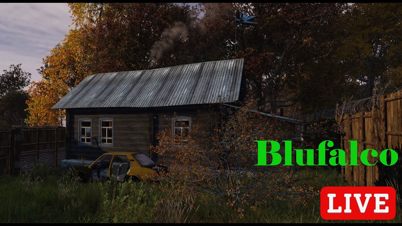 DAYZ