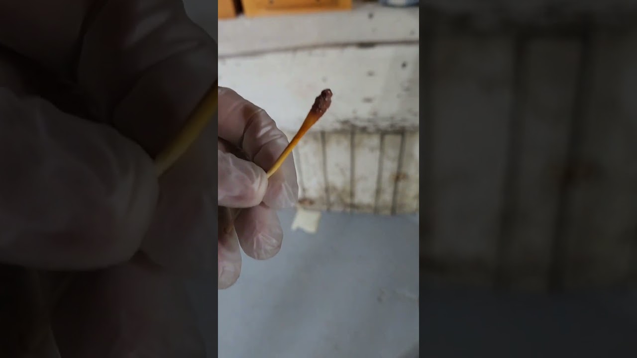 Тест на свинец! Не пропускайте этот шаг! #furnitureflip