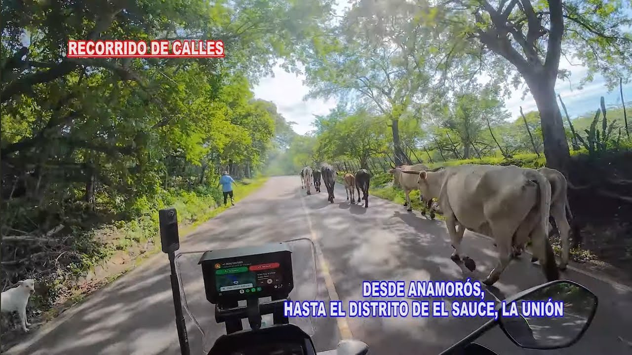 Viajando Hacía El Distrito El Sauce en La Unión, EL SALVADOR. Recorrido de Calle.