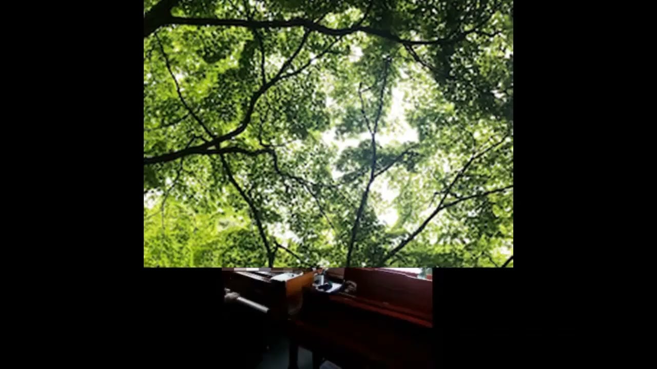 Meditation de Thais Jules Massenet 1