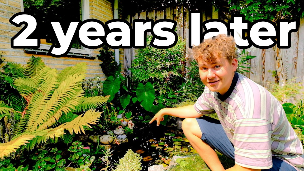 My Pond Became a Wildlife Oasis: 2 Years Later