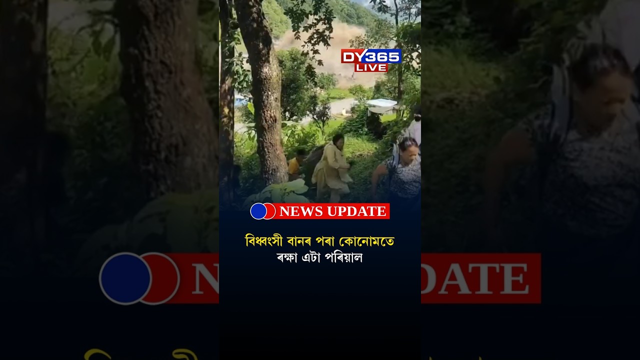 NEPALৰ শিহৰণকাৰী বানৰ দৃশ্য বন্দী কেমেৰাত