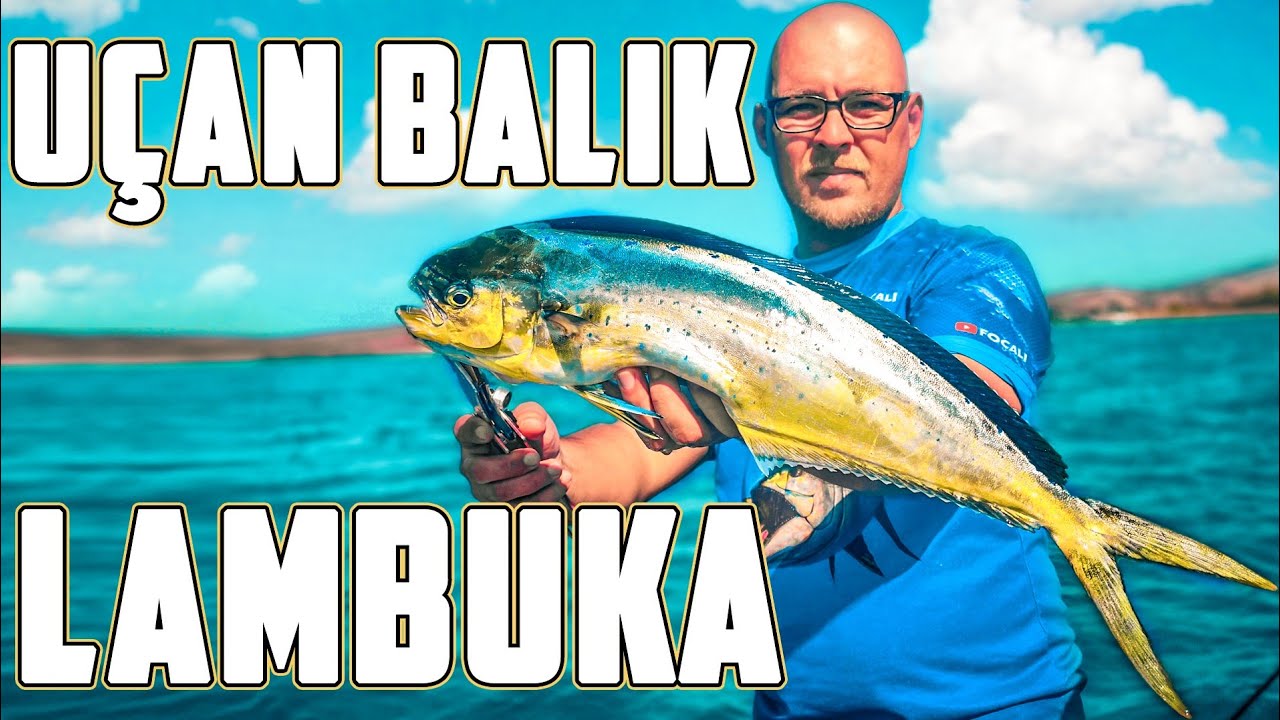Bir yemde 2 balık! Foça At-çek Lambuka avı! Spinning for Mahi Mahi and Seabass