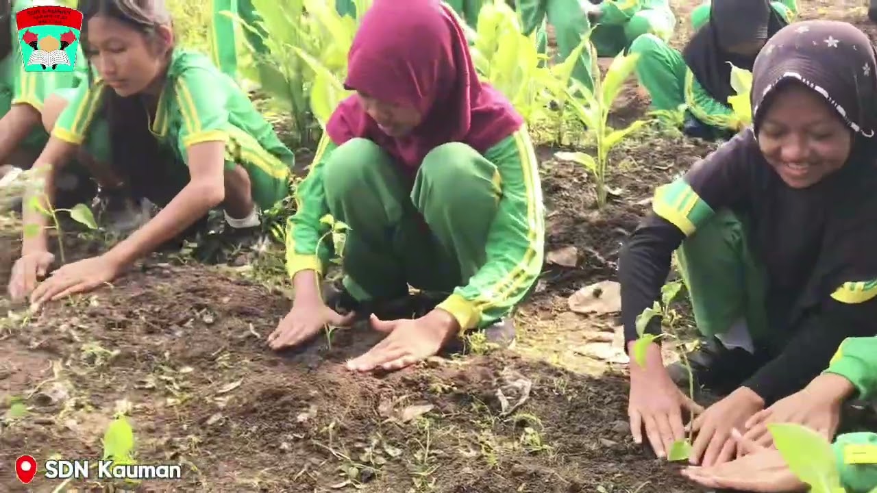 Senam (Sekolah Menanam)