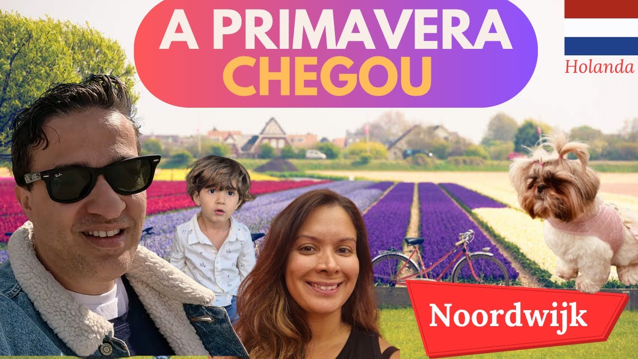 ASSIM É A NOSSA VIDA NA HOLANDA 🇳🇱