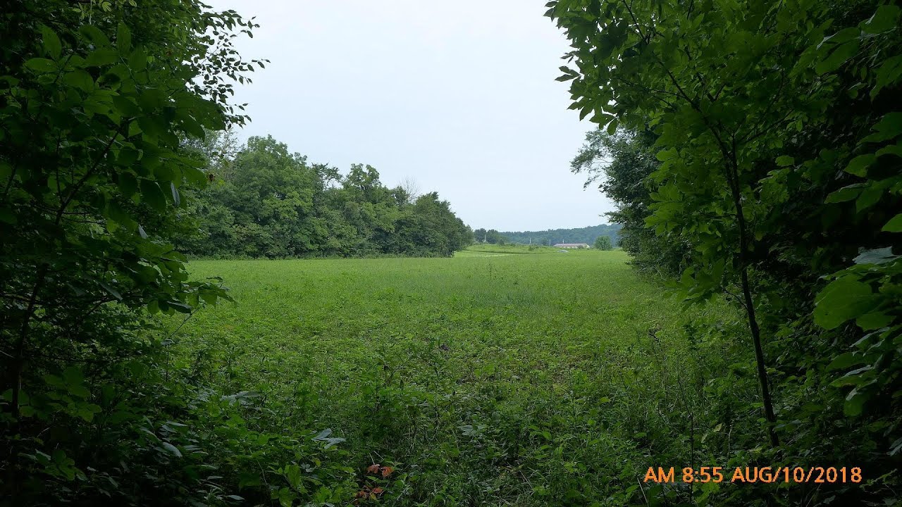Lots And Land for sale - 25174 Armstrong Road, Laurelville, OH 43135