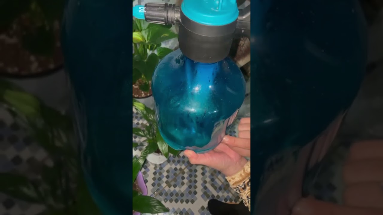 Spatifilum (ayol baxti)gulini oson gullatish siri N5