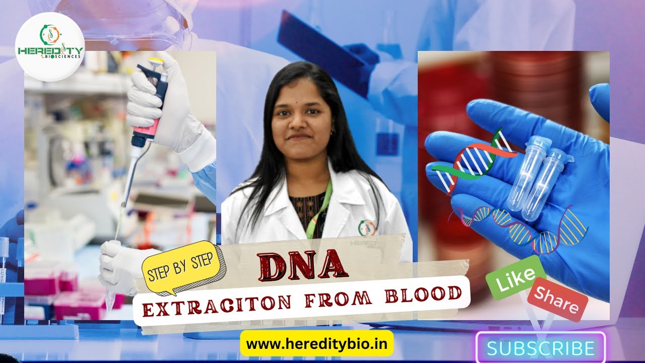 DNA extraction form Blood |Step by Step | Heredity Biosciences