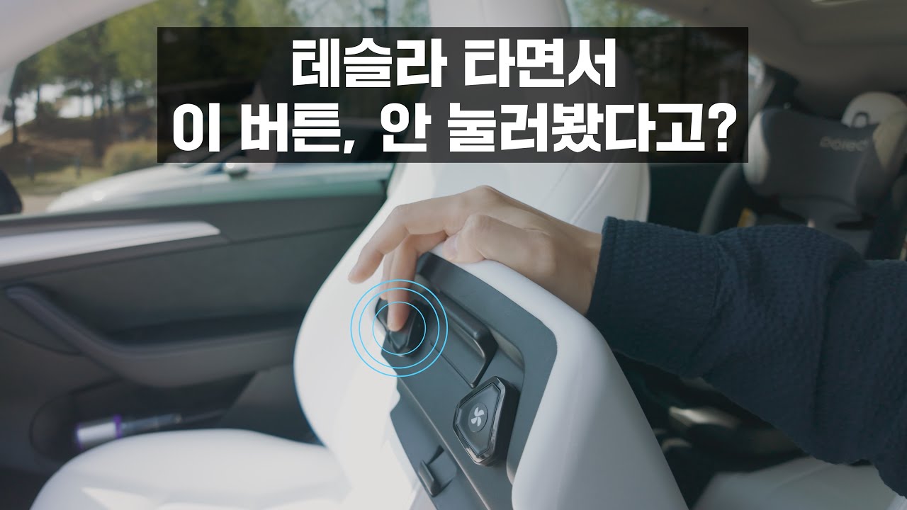 S3XY 섹시버튼 5개로 테슬라 기능 200% 활용하기