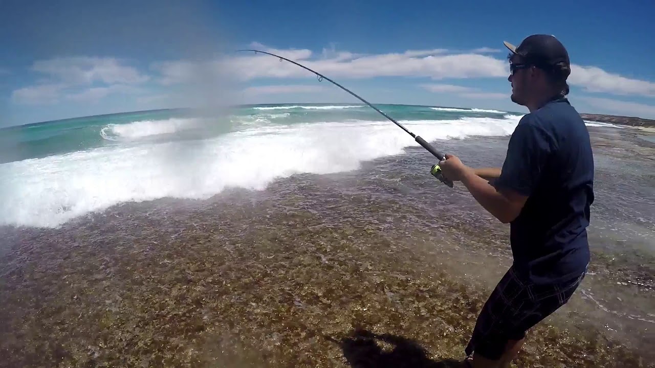 west coast salmon fishing S.A