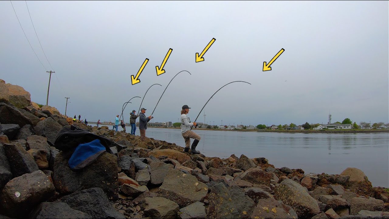 MOST EXTREME Canal Fishing Action! You Have NEVER Seen Anything Like THIS! **GIANTS**