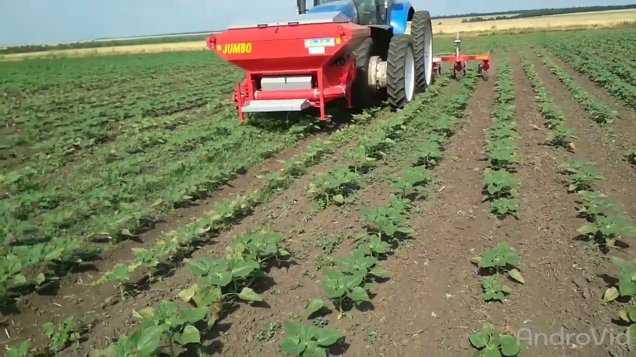 CHOPSTAR + JUMBO work in UKRAINE просапний культиватор з фронтальним бункером JUMBO EINBÖCK
