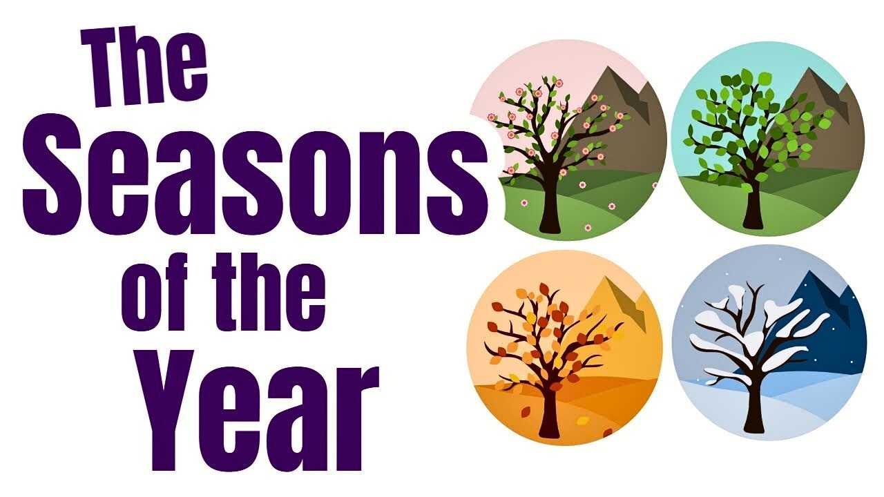 Seasons of the Year for Kids | Spring, Summer, Fall & Winter