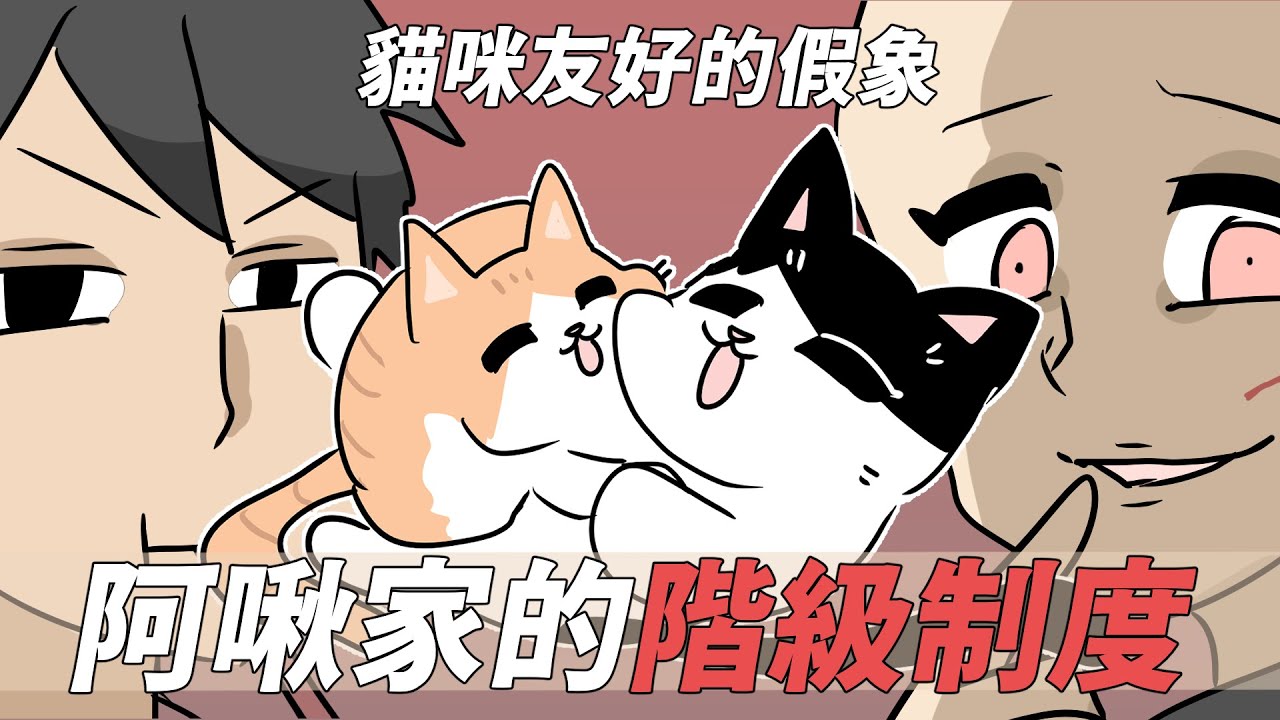 阿啾小劇場-阿啾家的階級制度｜貓咪友好的假象｜貓奴全記錄