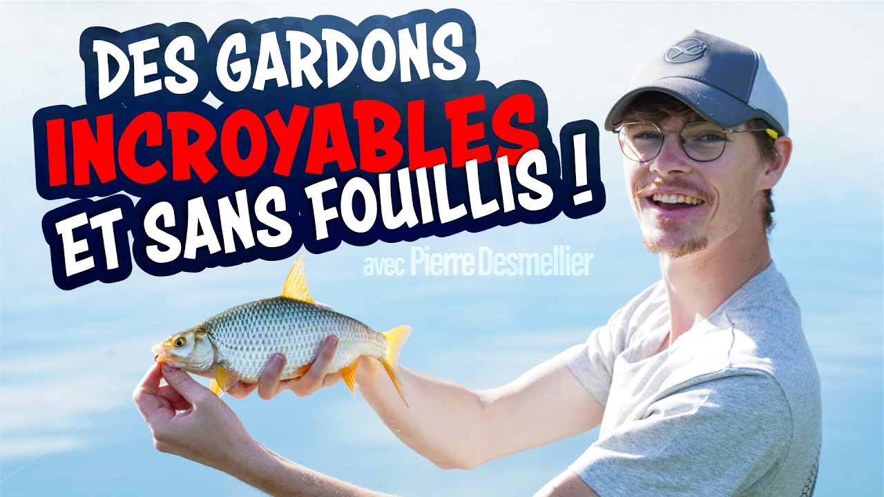 P&ecirc;che de gardons au feeder sans fouillis avec Pierre Desmellier #p&ecirc;che #france - Matrix Fishing TV