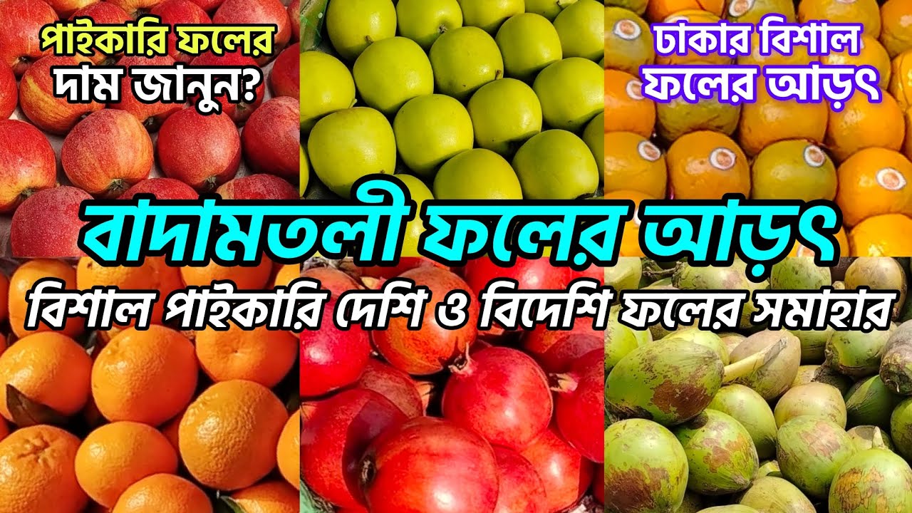 বাদামতলী ফলের আড়ৎ | ট্রাকে নিলামে অবিশ্বাস্য কম দামে ফল কিনুন ও আড়তে পাইকারি দাম জানুন? #বাদামতলী