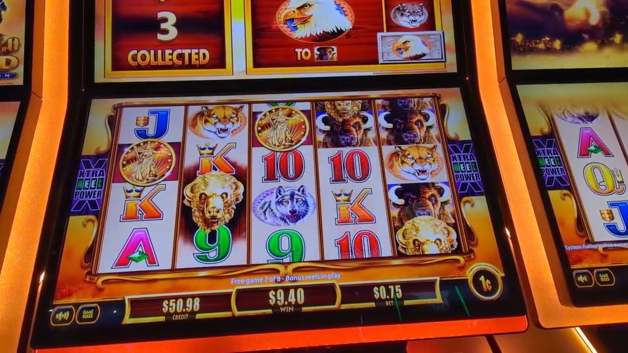 Buffalo Gold Revolution Bonus!! #massivewin #casino #slotmachine