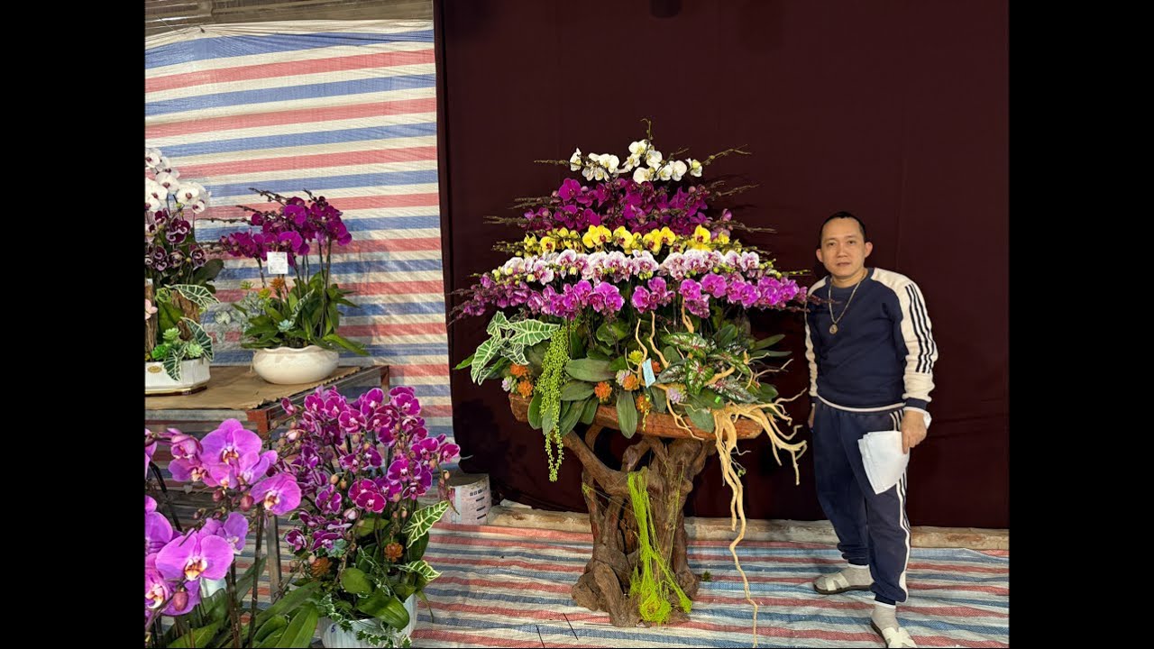 17/1 HỒ ĐIỆP TẾT - 0983270995