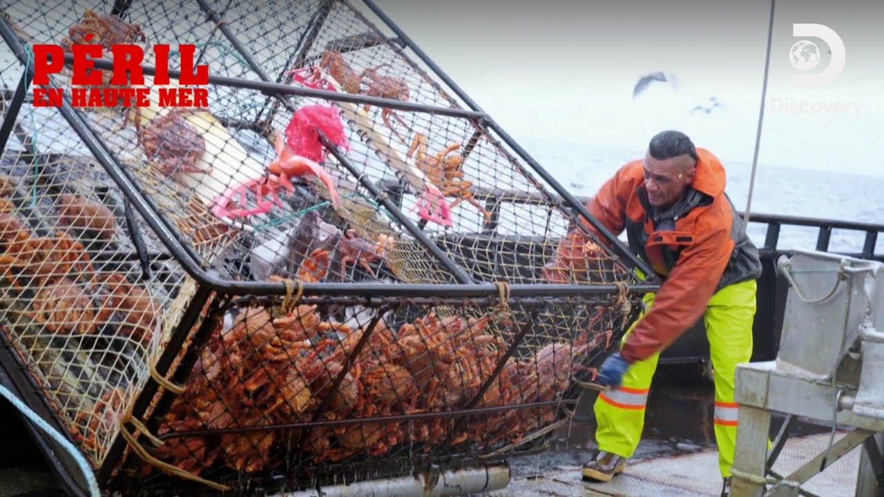 Le salaire de la peur 😱⚓P&eacute;ril en haute mer