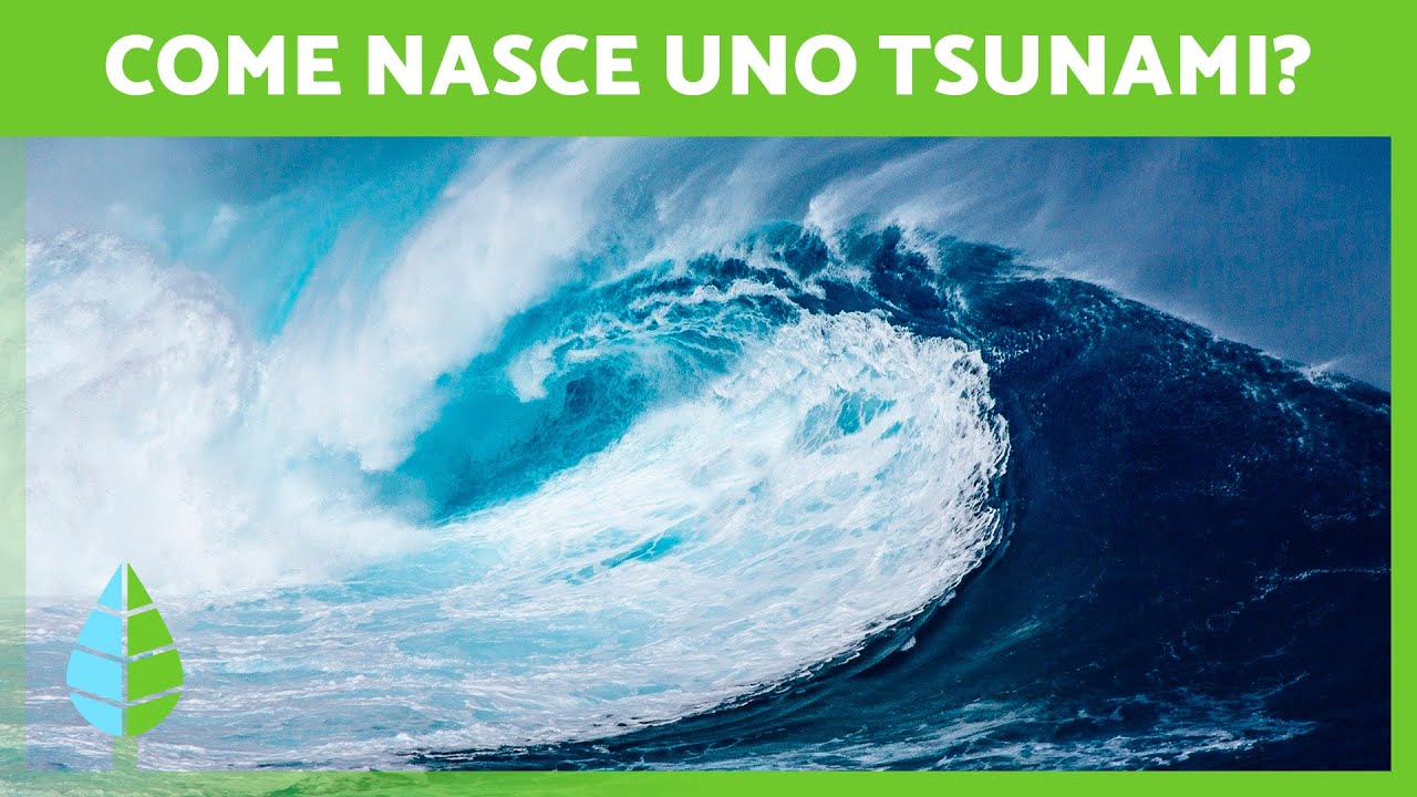 Come si FORMA uno TSUNAMI? 🌊 (Definizione e Fasi)