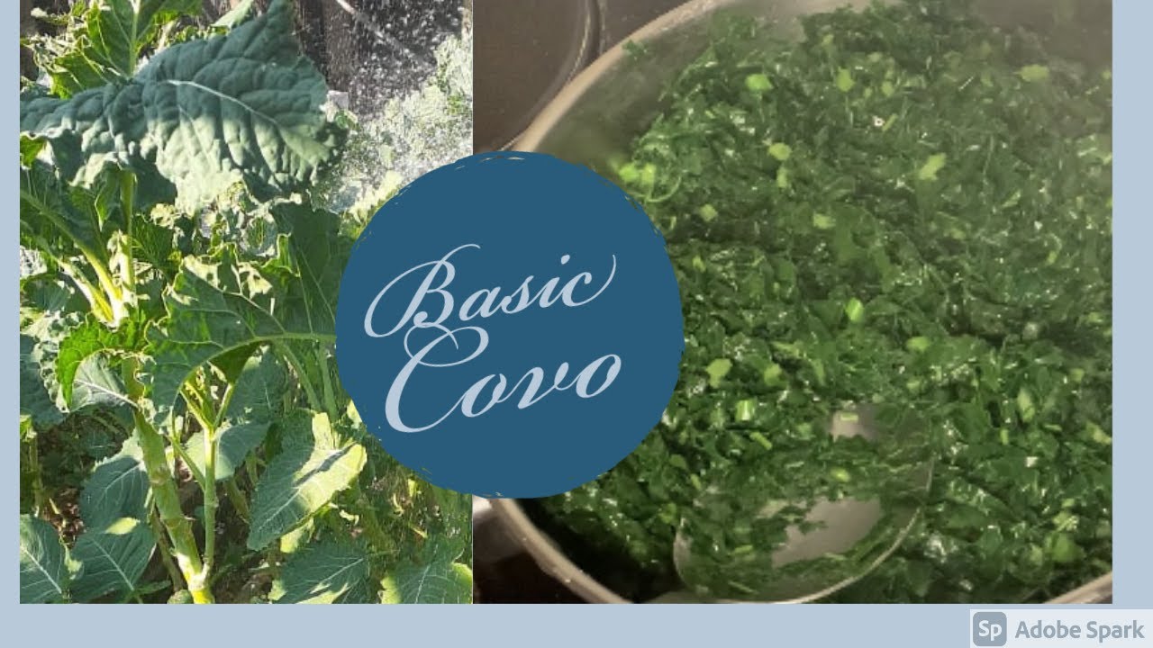 HOW TO COOK COVO (BASIC)