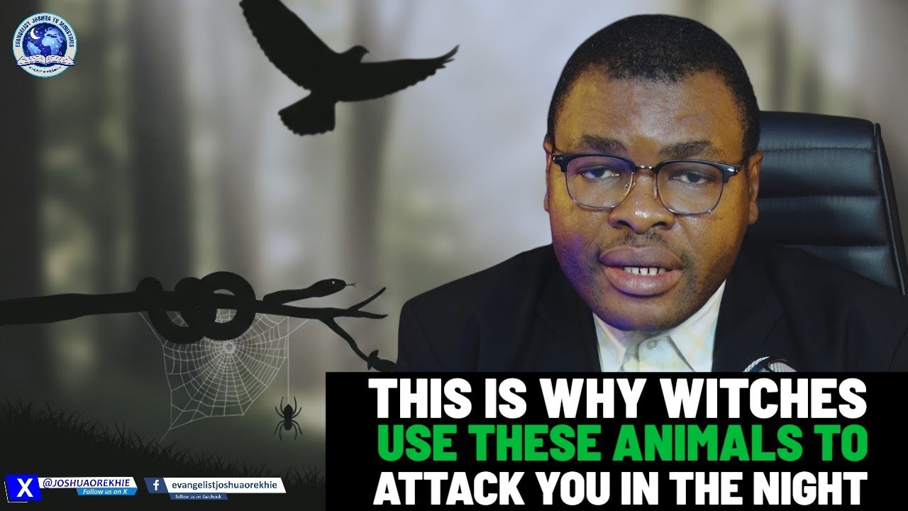 THIS IS WHY WITCHES USE THESE ANIMALS TO ATTACK YOU