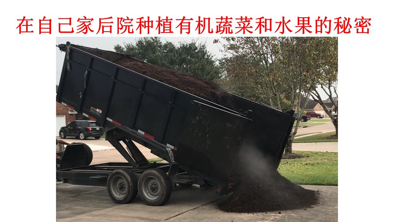 美国德州华人的生活 66：在自己家后院种植有机蔬菜和水果的秘密