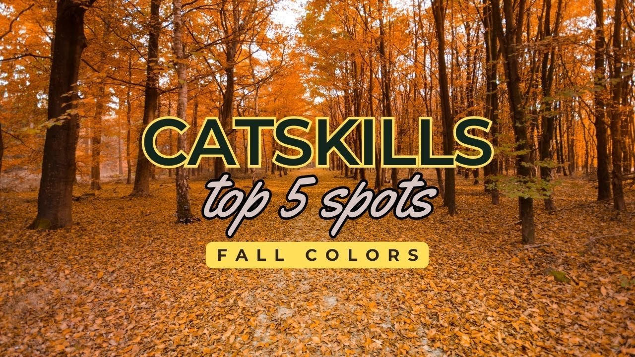 Top 5 Places to See the Fall Colors in the Catskills 🍁 | Ultimate Autumn Adventure