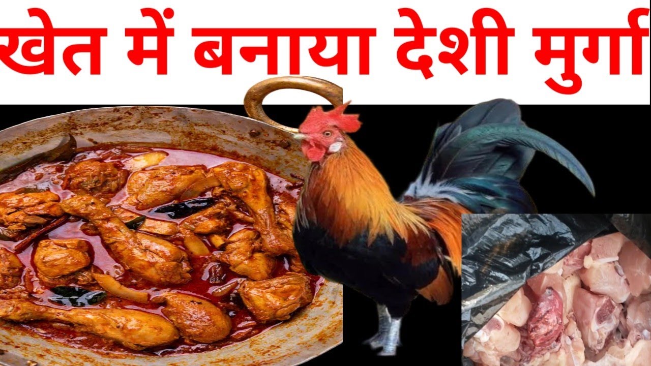 खेत में बनाया देशी चिकन 🐓 