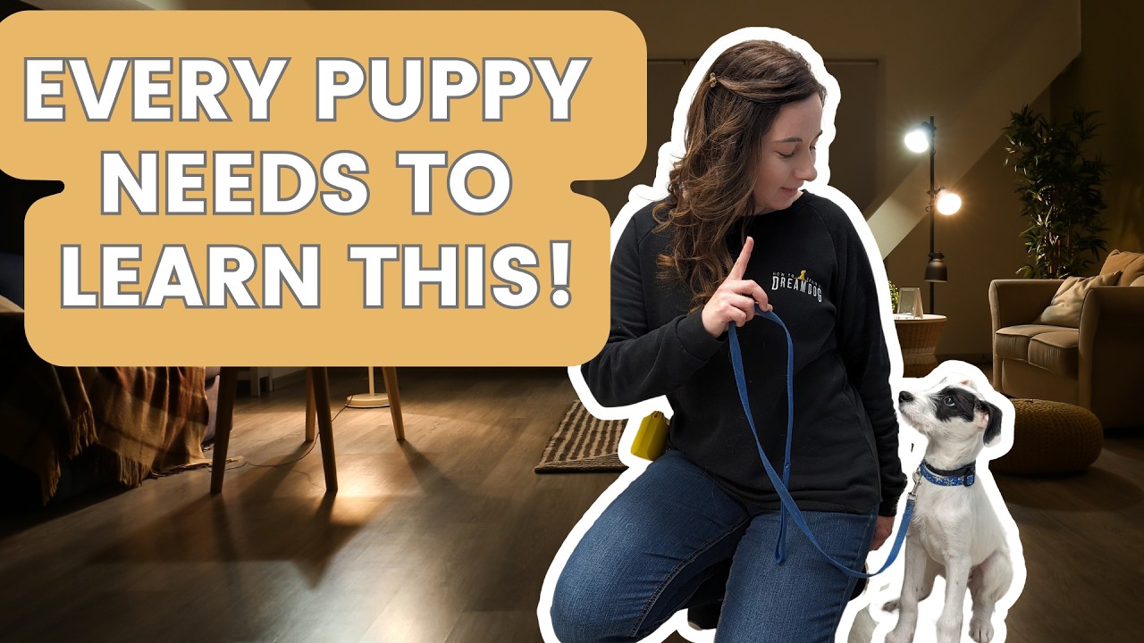 Getting Started With An 8 Week Old Puppy