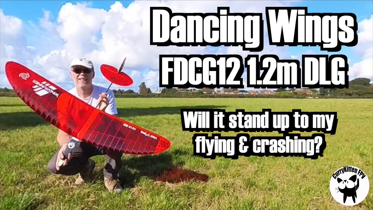 Dancing Wings FDCG12 1.2m DLG - will it survive?